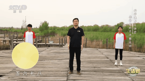 拉伸操05.gif