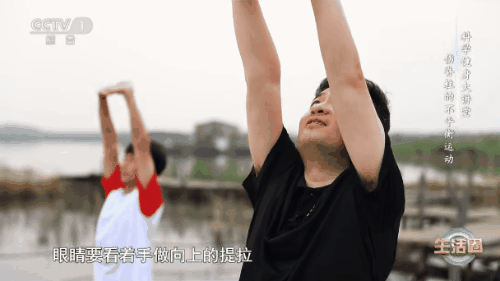 拉伸操07.gif