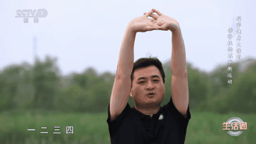 拉伸操09.gif