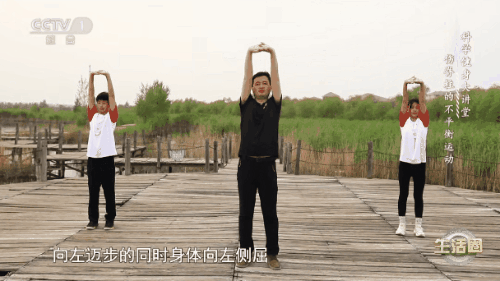 拉伸操3-2.gif