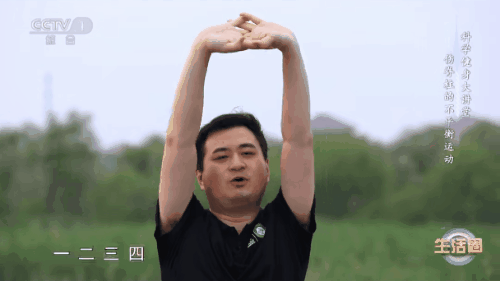 拉伸操3-3.gif
