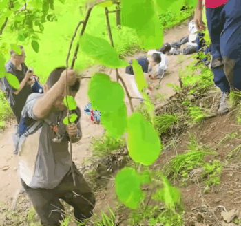 青少年秋季04.gif