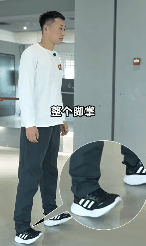 11.gif