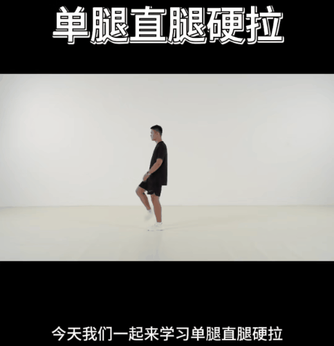 青少年身体功能训练25.gif