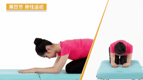 脊柱视力健康操11.gif