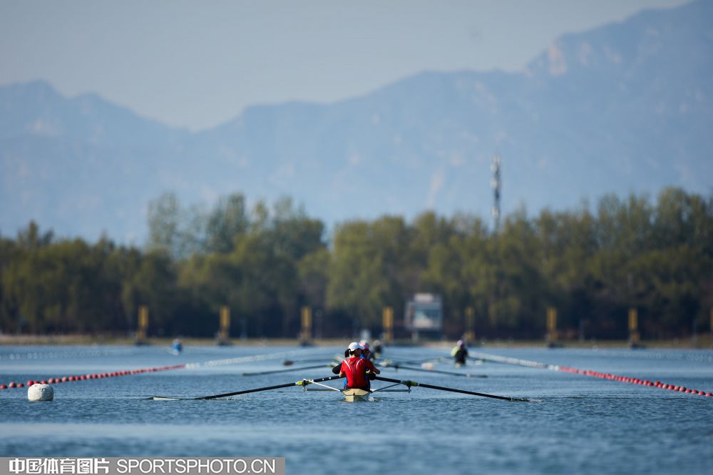 W_2094656_19041114_l.jpg W_2094656_19041114_l.jpg