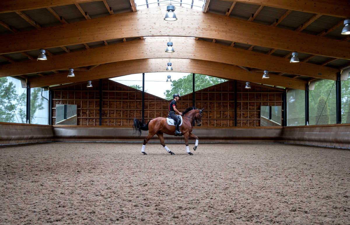 0821-马术.jpg 0821-马术.jpg