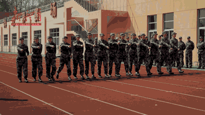 003.gif