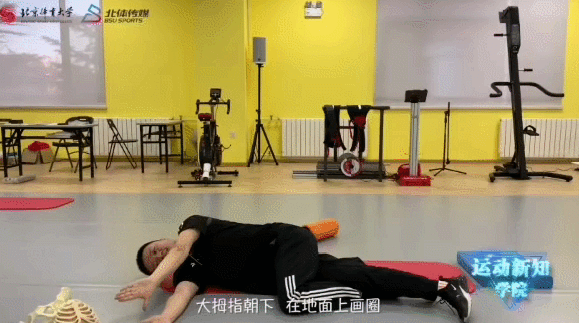 5.gif