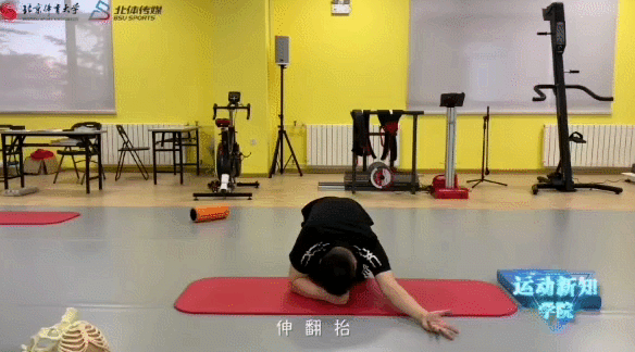 6.gif
