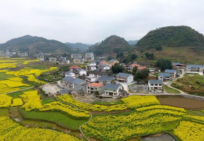 微信截图_20201014074637.jpg