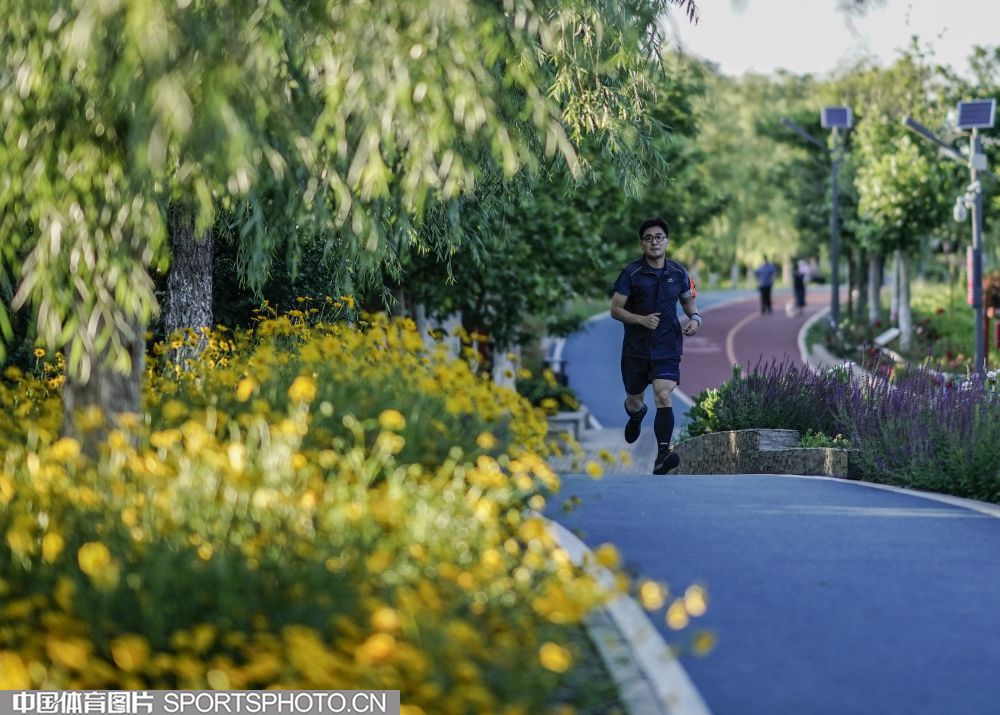 W_10349235_20052420_wz.jpg W_10349235_20052420_wz.jpg