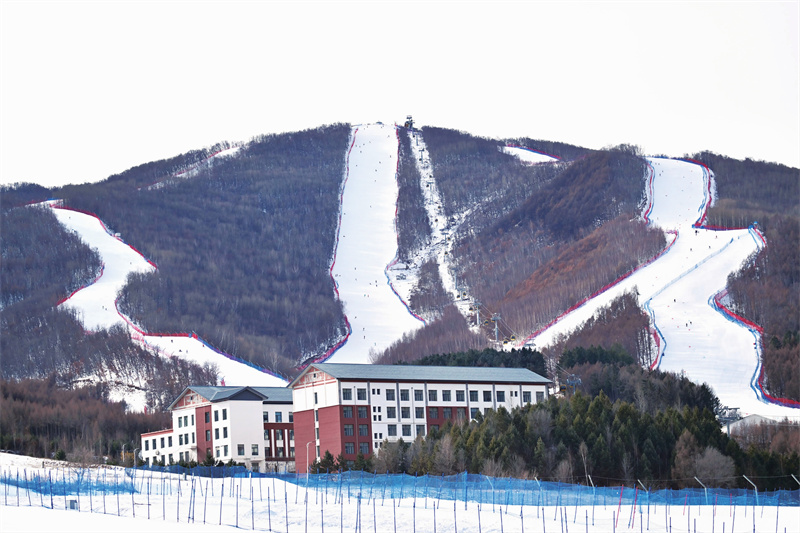 W020260204278724231532.jpg W020260204278724231532.jpg