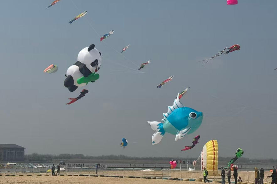 风筝公开赛.jpg 风筝公开赛.jpg