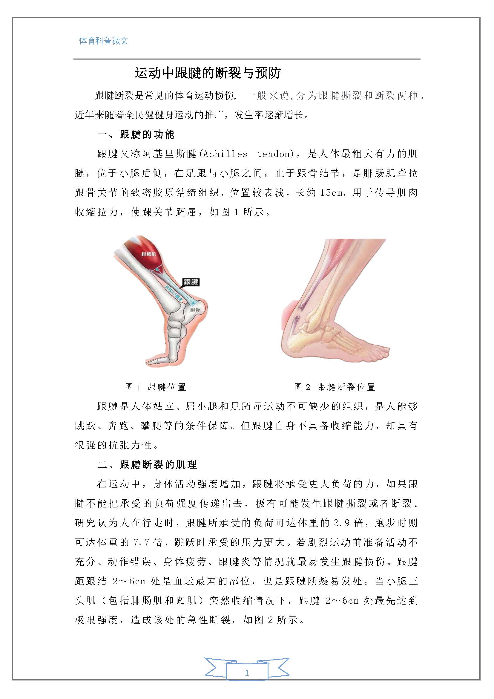 运动中跟腱的断裂与预防_页面_1.jpg