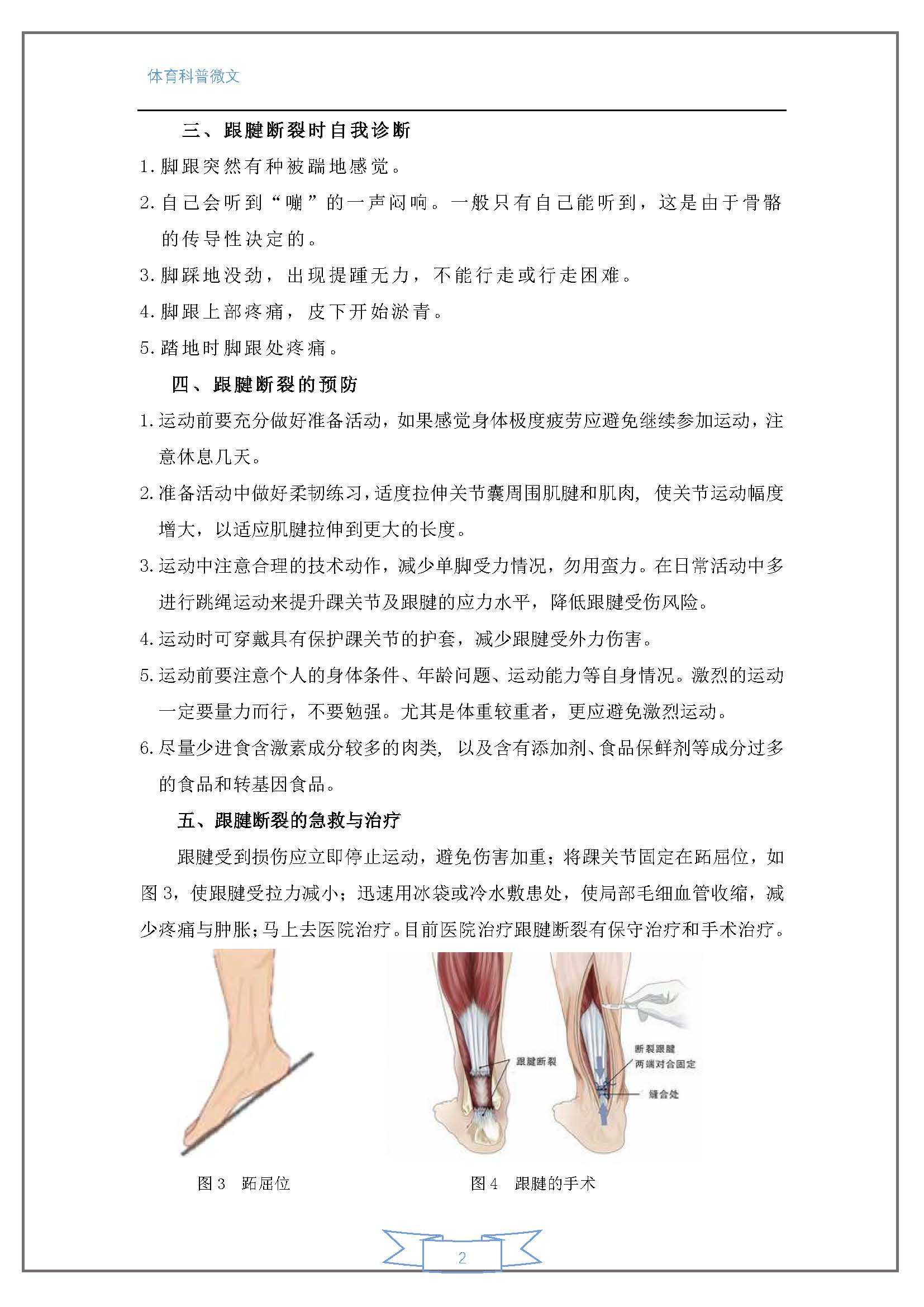 运动中跟腱的断裂与预防_页面_2.jpg