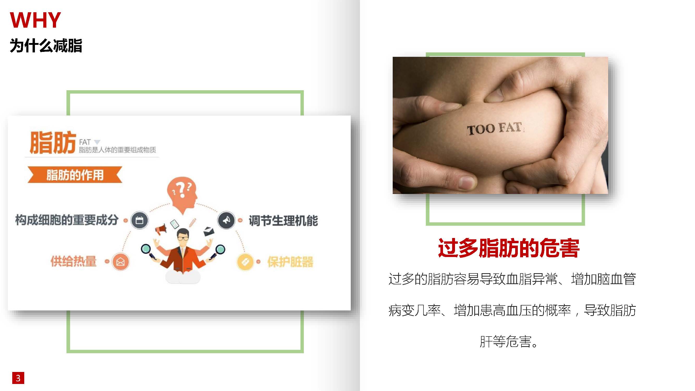 南阳师范学院-体育科普微文-运动与减脂_页面_04.jpg